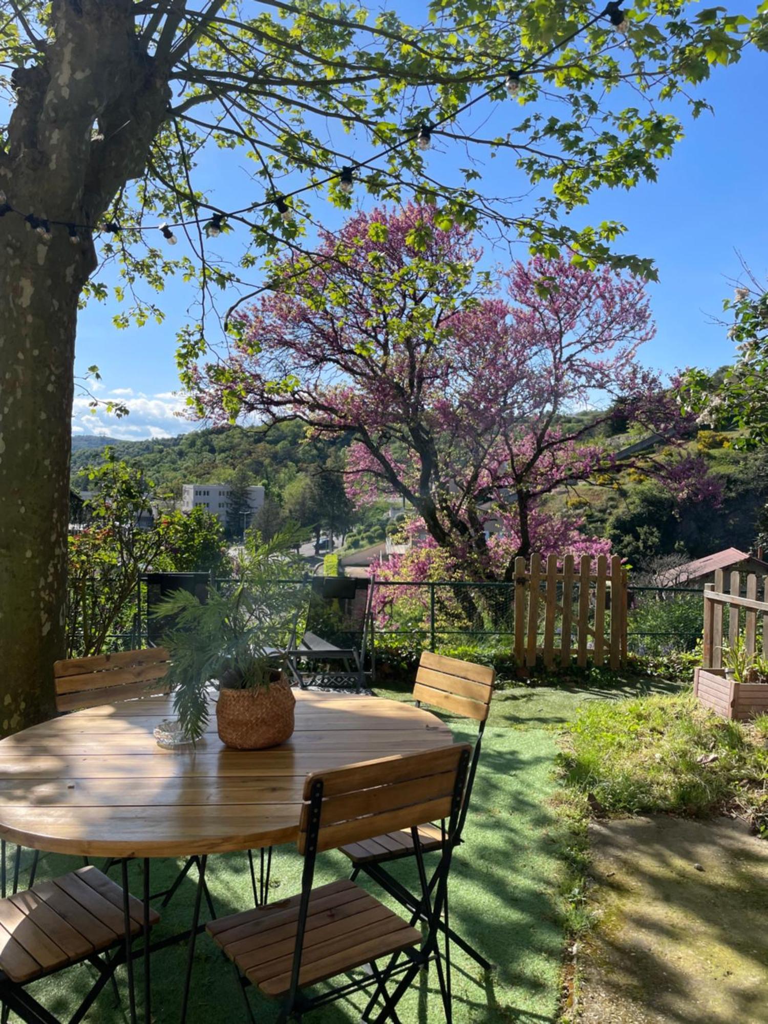 Maison A Avec Jardin Privatif Dans Domaine Des Crozes Виен Екстериор снимка